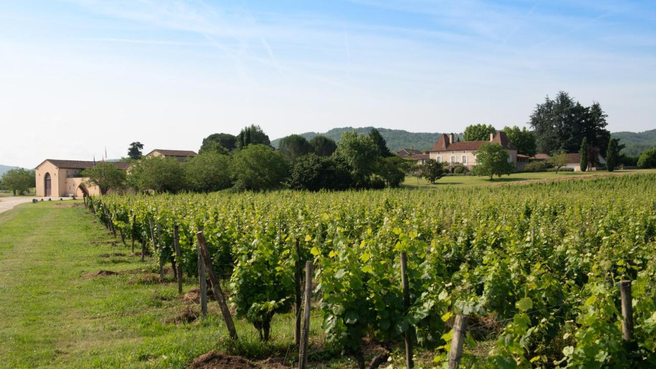 Chateau Gautoul Puy-lʼÉvêque Εξωτερικό φωτογραφία